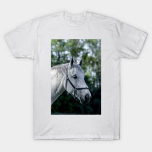 White Prince T-Shirt